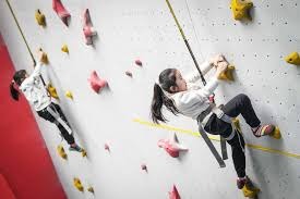 迈阿密马林鱼在 2003 年爆冷夺冠，贝基特在洋基球场的完封胜成为历史经典