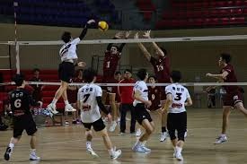 2025四川省马术联赛总决赛暨西南马术公开赛收官